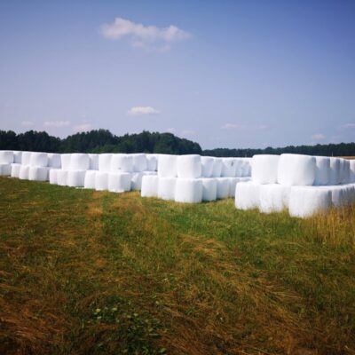 2_Farma-Bielorusko-scaled.jpg