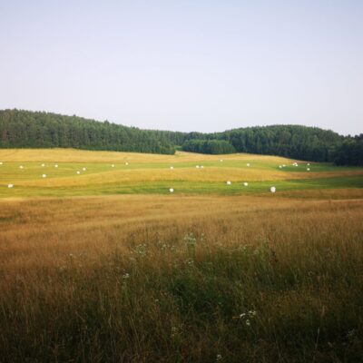3_Farma-Bielorusko-scaled.jpg